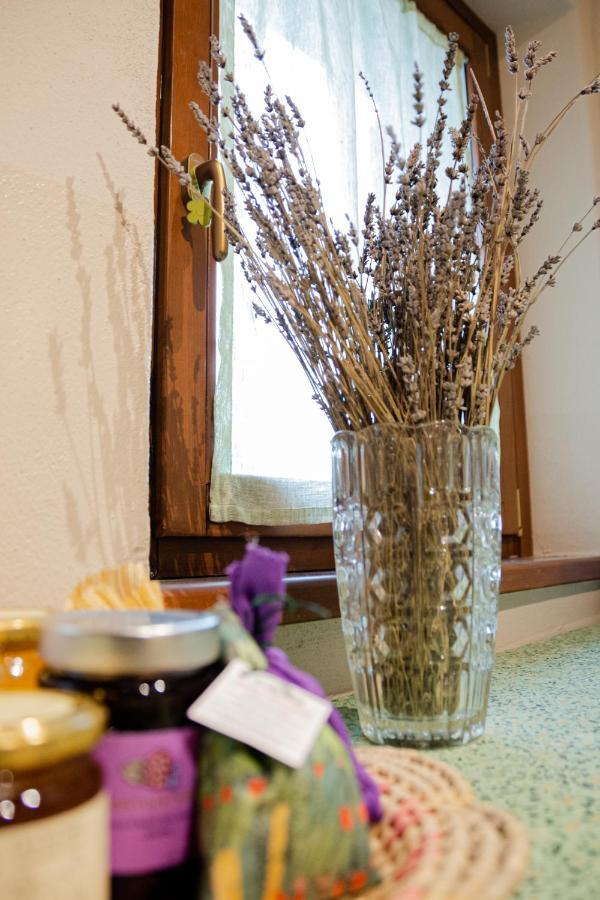 B&B Casa Del Pietro Pieve San Giovanni 외부 사진