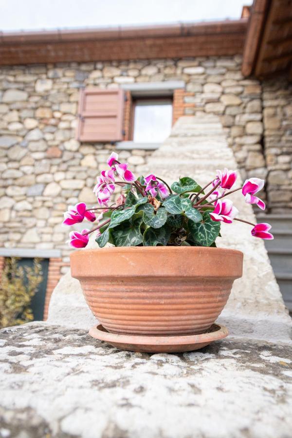 B&B Casa Del Pietro Pieve San Giovanni 외부 사진
